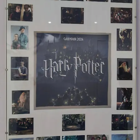 Harry Potter 라팔로